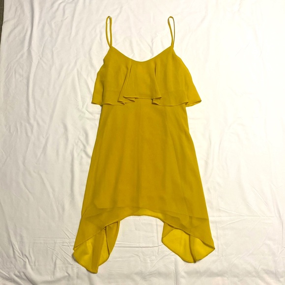 BCBG Chiffon Dress - Picture 1 of 8